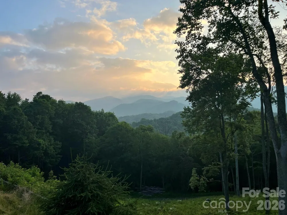 1185 Black Bear Drive Mars Hill, NC 28754