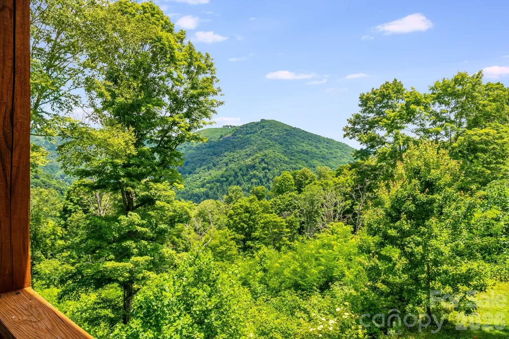 1185 Black Bear Drive Mars Hill, NC 28754