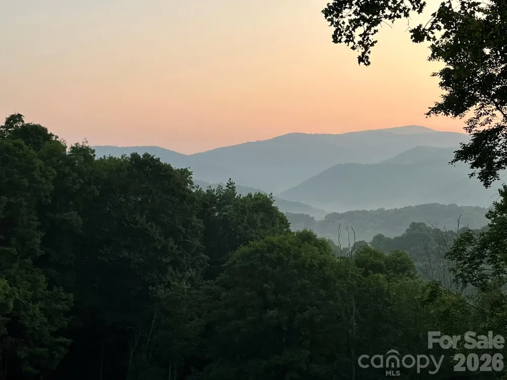 1185 Black Bear Drive Mars Hill, NC 28754