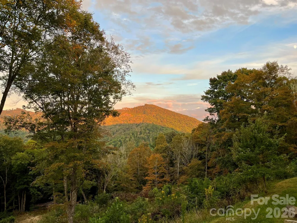 1185 Black Bear Drive Mars Hill, NC 28754