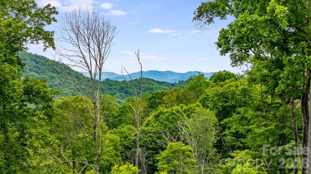 1185 Black Bear Drive Mars Hill, NC 28754