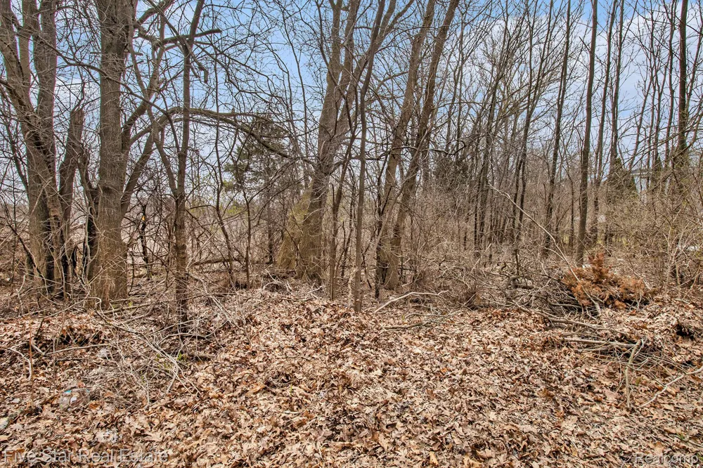 Dickert Street Commerce Charter Township, MI 48382