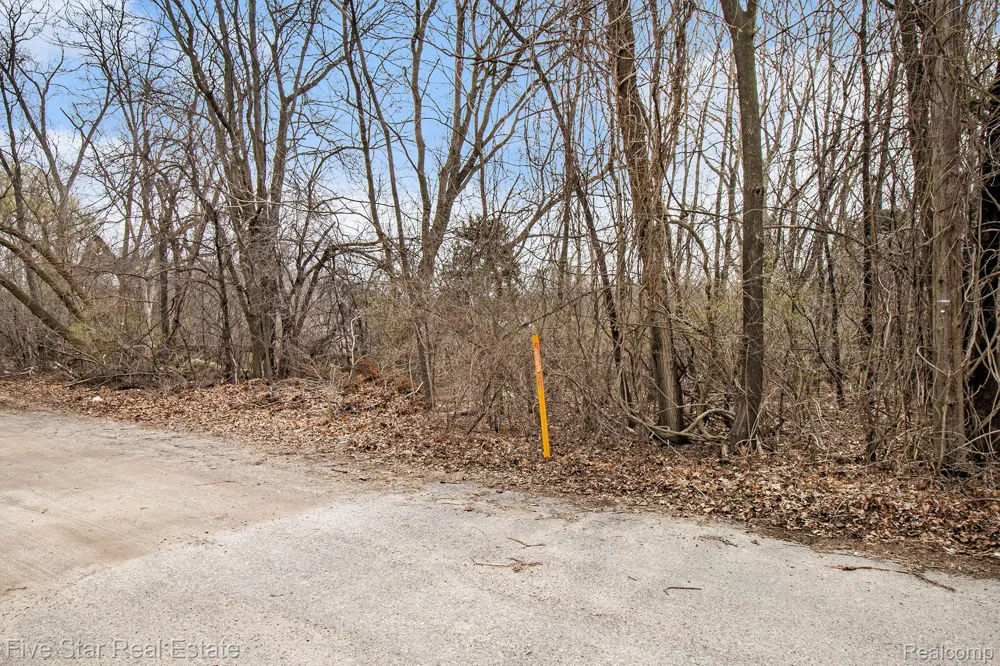 Dickert Street Commerce Charter Township, MI 48382