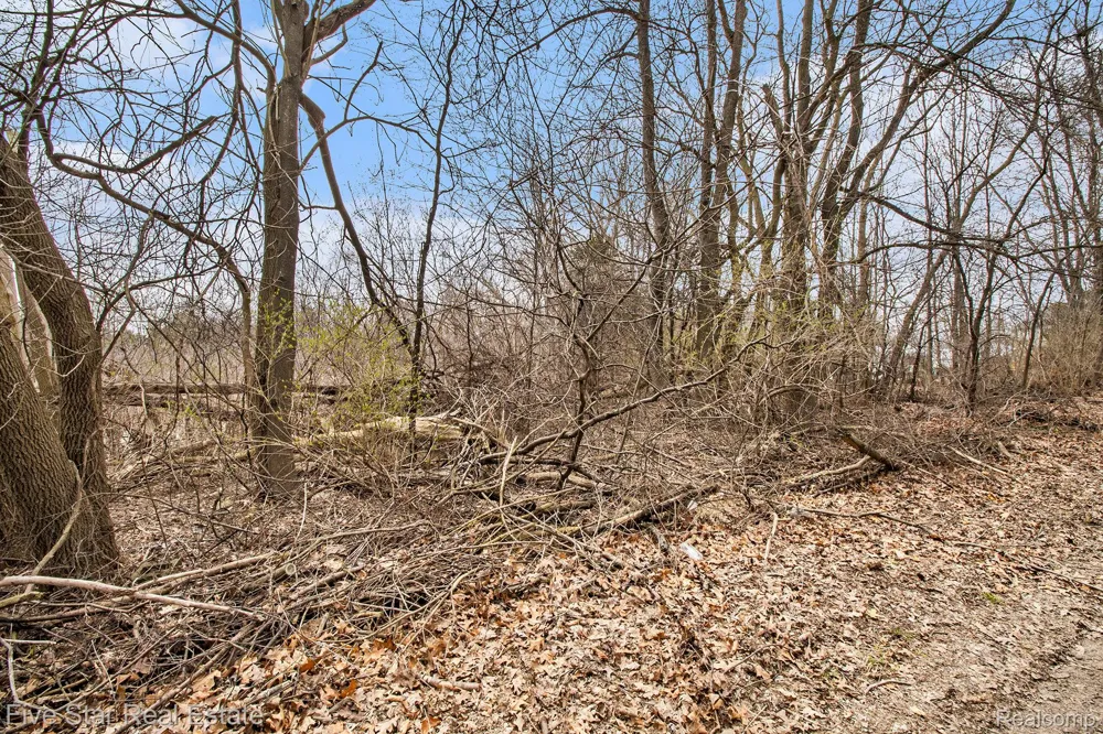 Dickert Street Commerce Charter Township, MI 48382