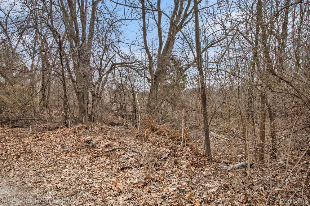 Dickert Street Commerce Charter Township, MI 48382