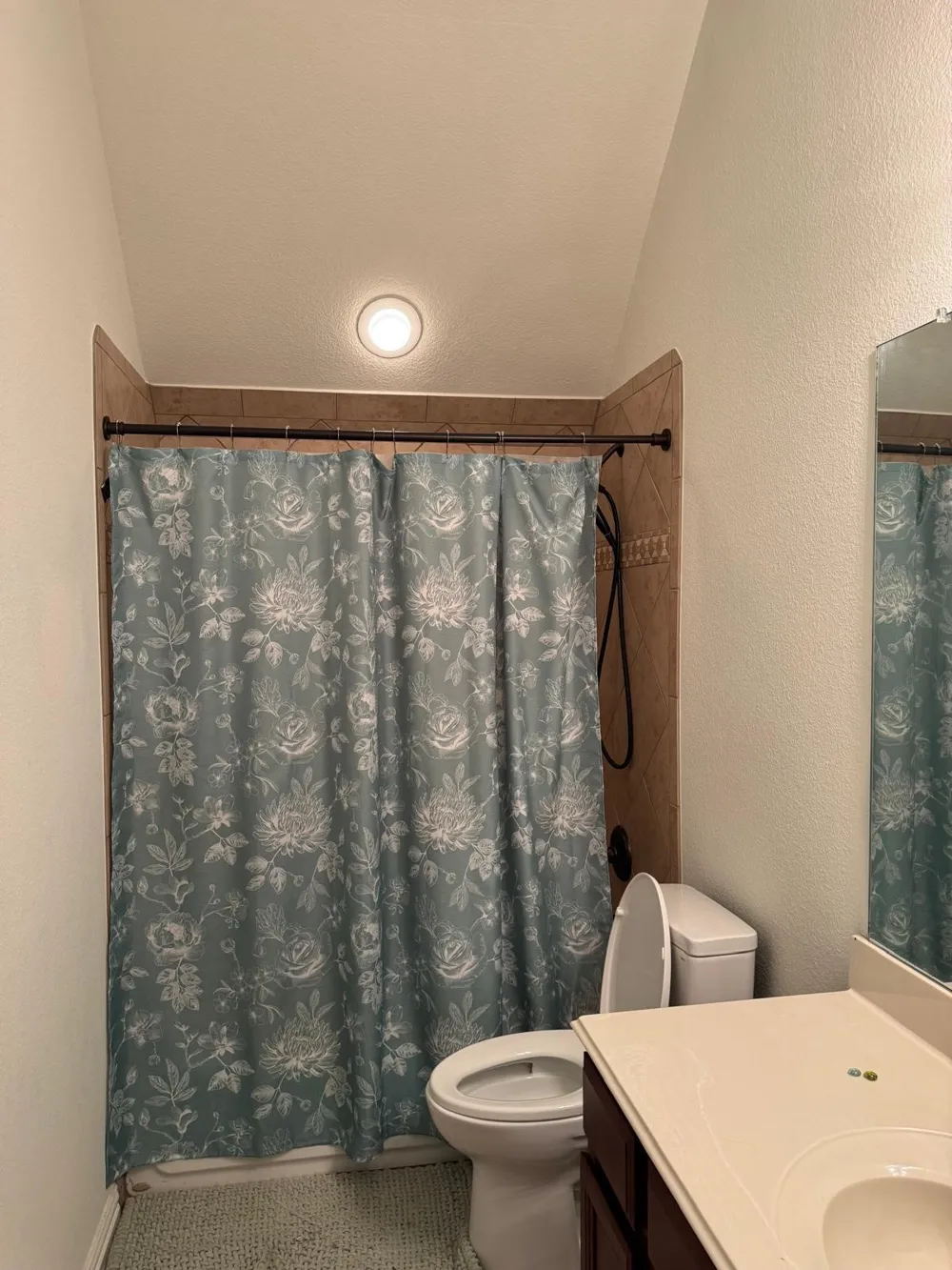 13221 Mulch Lane Frisco, TX 75035