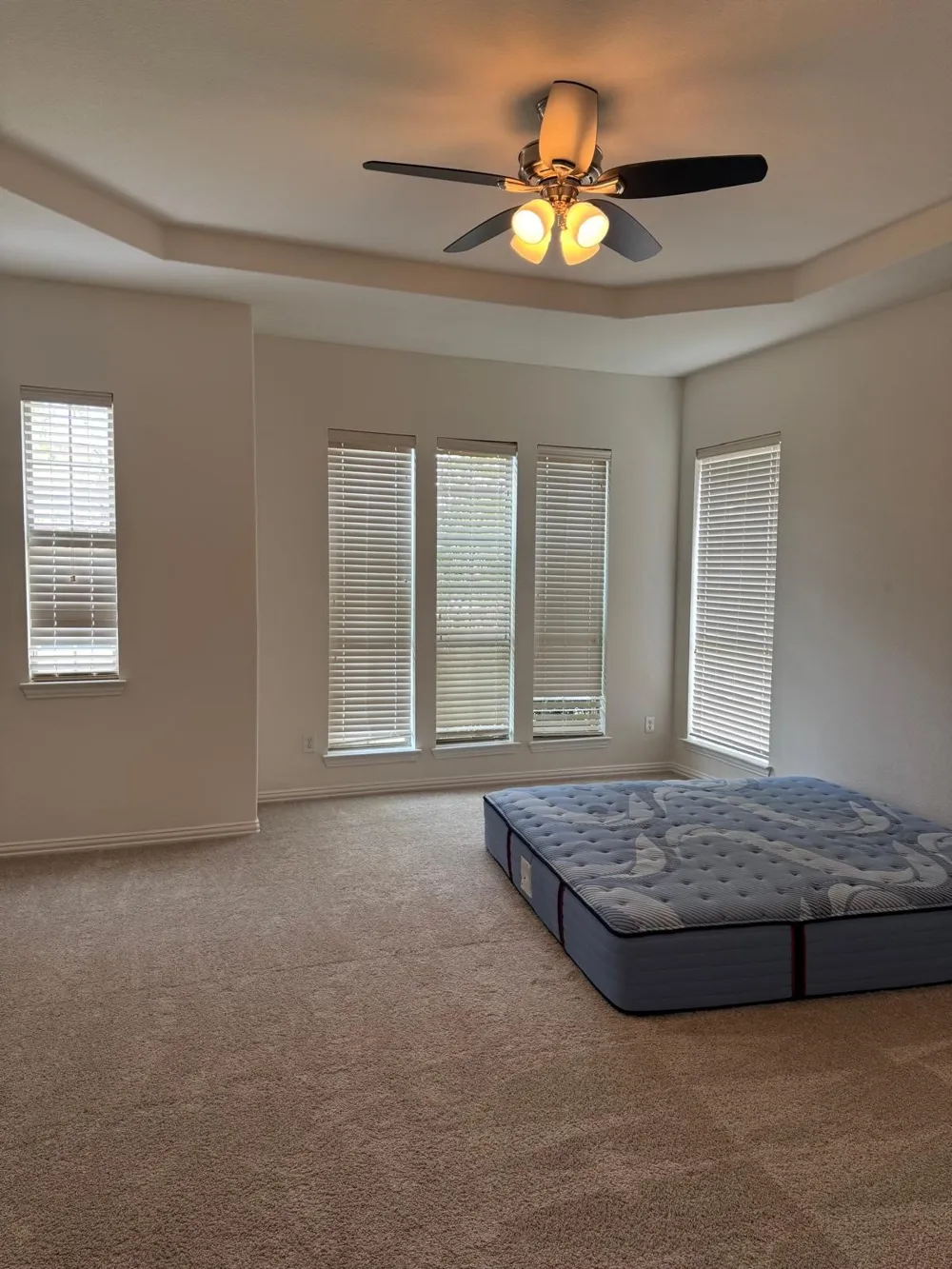 13221 Mulch Lane Frisco, TX 75035