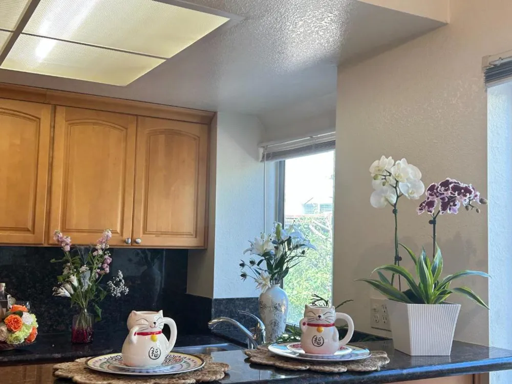 1016 Gordon Street Milpitas, CA 95035