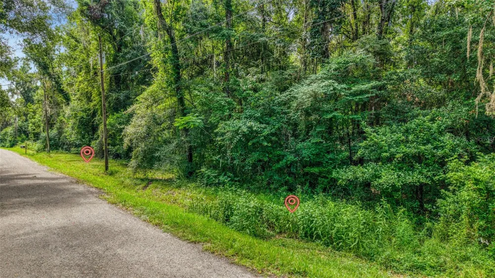 23186 FITZHUGH AVENUE Brooksville, FL 34601
