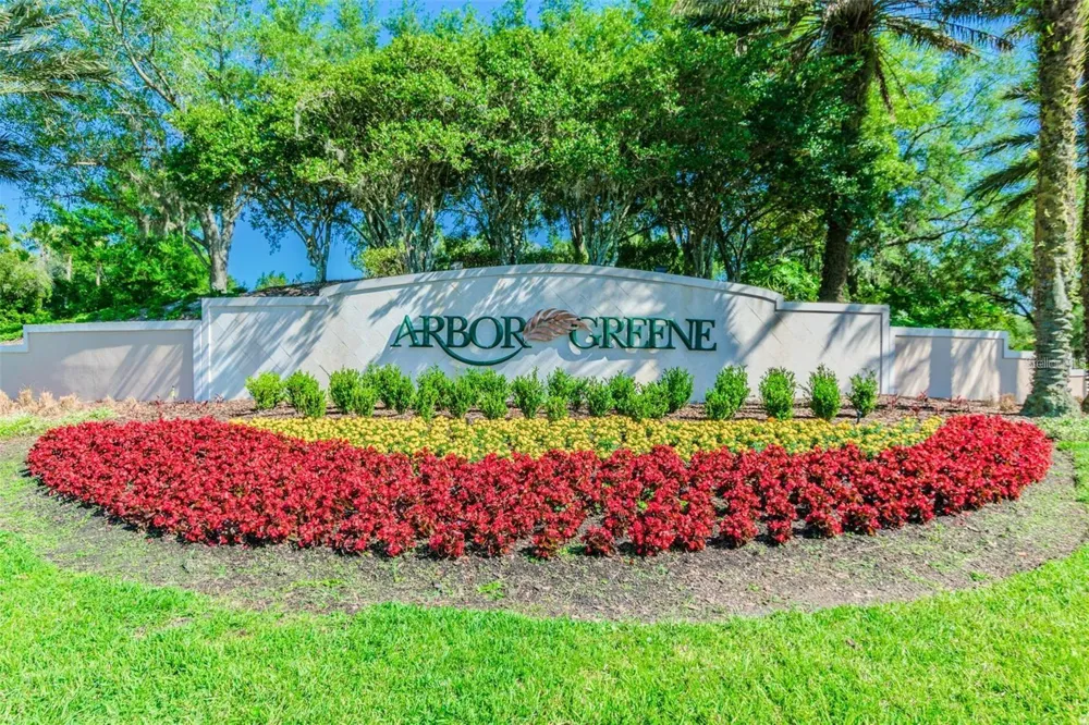10245 DEVONSHIRE LAKE DRIVE Tampa, FL 33647