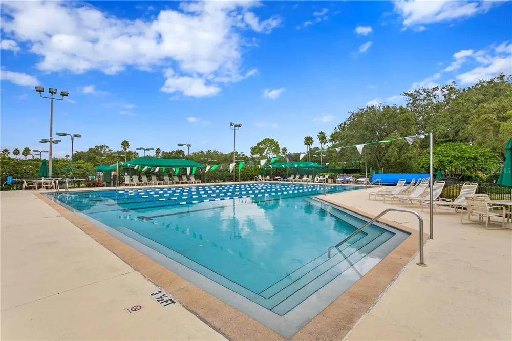 10245 DEVONSHIRE LAKE DRIVE Tampa, FL 33647