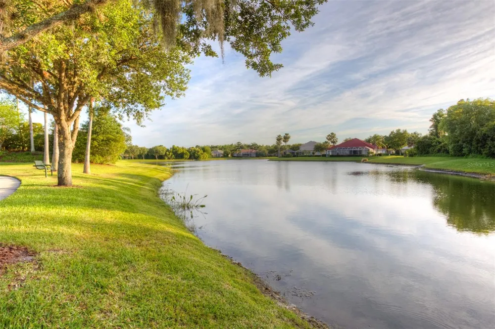 10245 DEVONSHIRE LAKE DRIVE Tampa, FL 33647