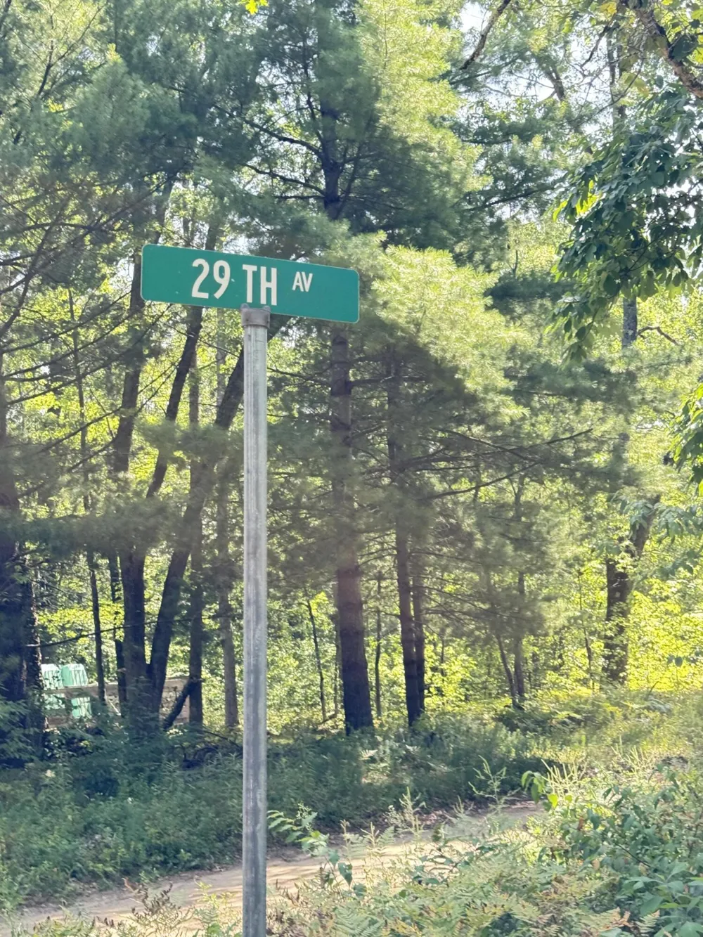 2227 W Oakwood Boulevard Bitely, MI 49309