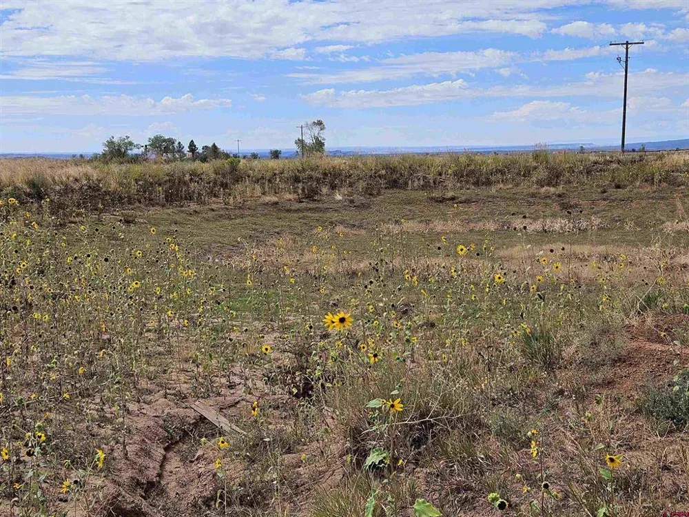 County Road 129 Hesperus, CO 81326