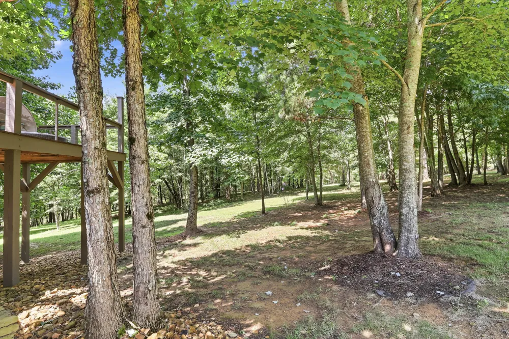 1625 River Bluffs Drive Jasper, TN 37347