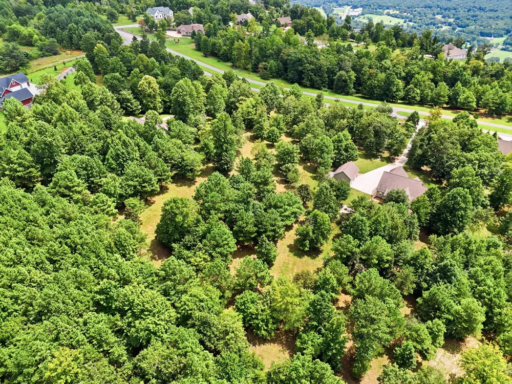 1625 River Bluffs Drive Jasper, TN 37347