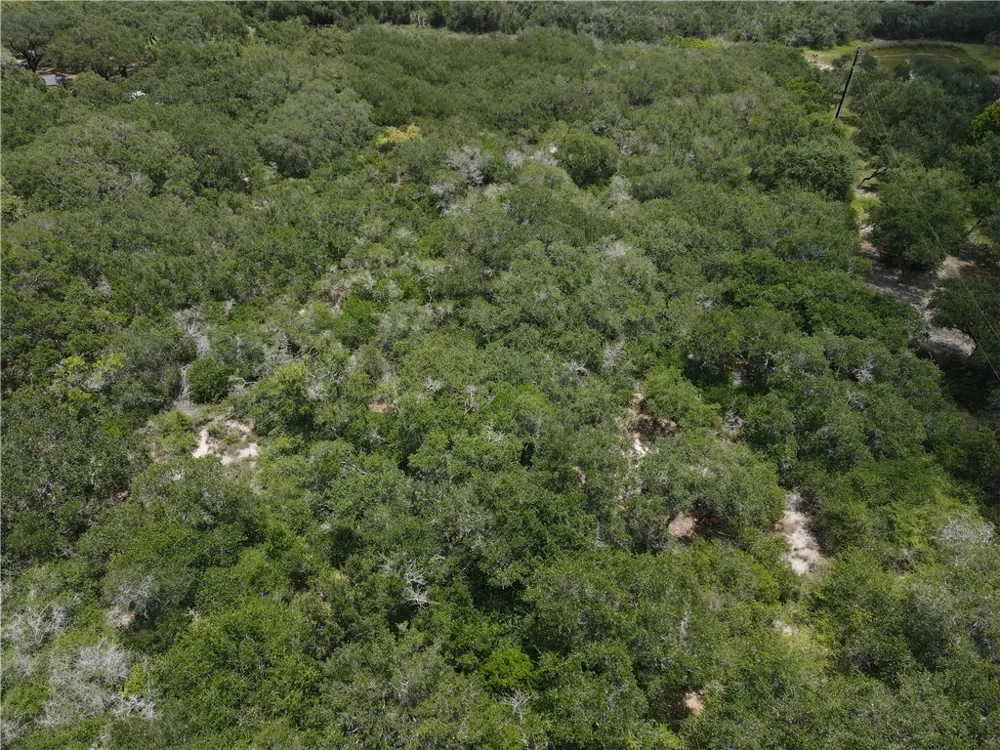 1738 Morgan Ingleside, TX 78362