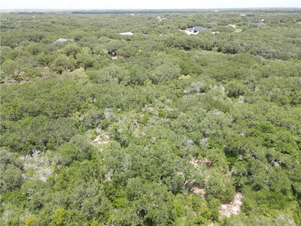 1738 Morgan Ingleside, TX 78362