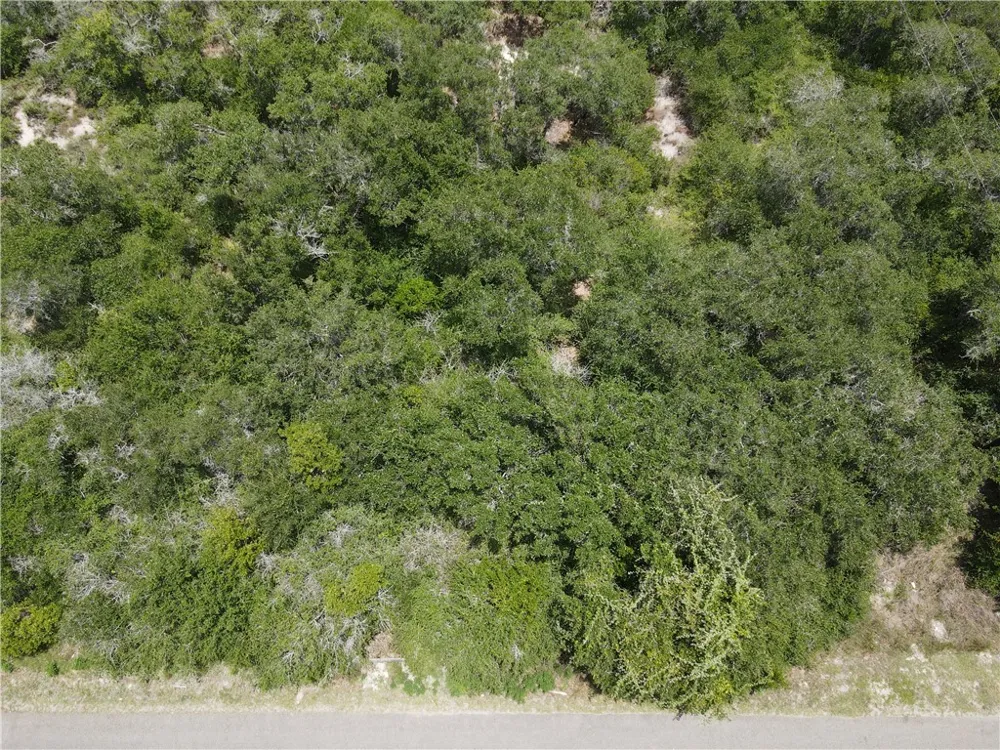 1738 Morgan Ingleside, TX 78362