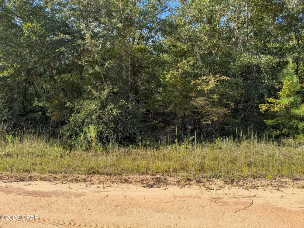Hillside Drive Marianna, FL 32448