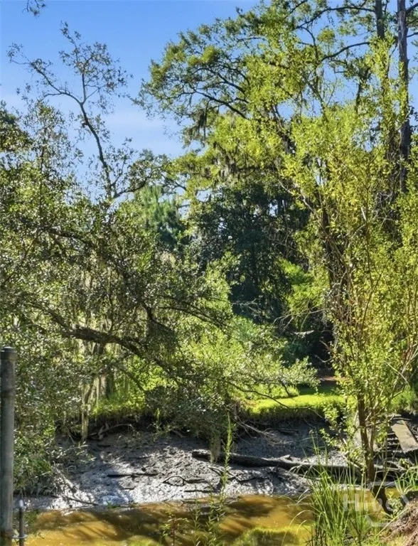 9006 Harmon Bluff Road Savannah, GA 31406