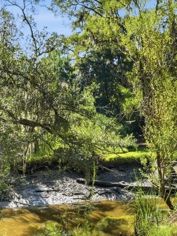 9006 Harmon Bluff Road Savannah, GA 31406