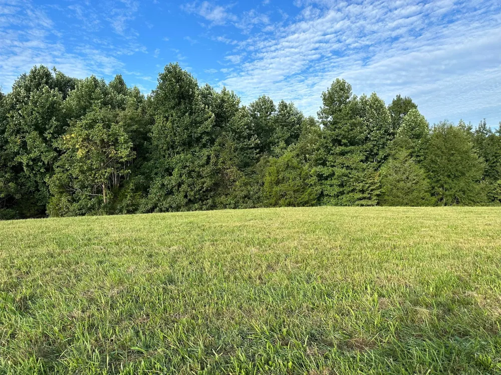 0 Knob Creek Rd Wartrace, TN 37183