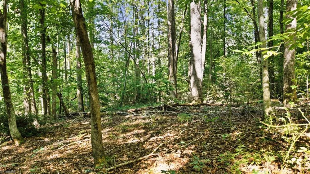 9 Miramar Road Winston-Salem, NC 27105