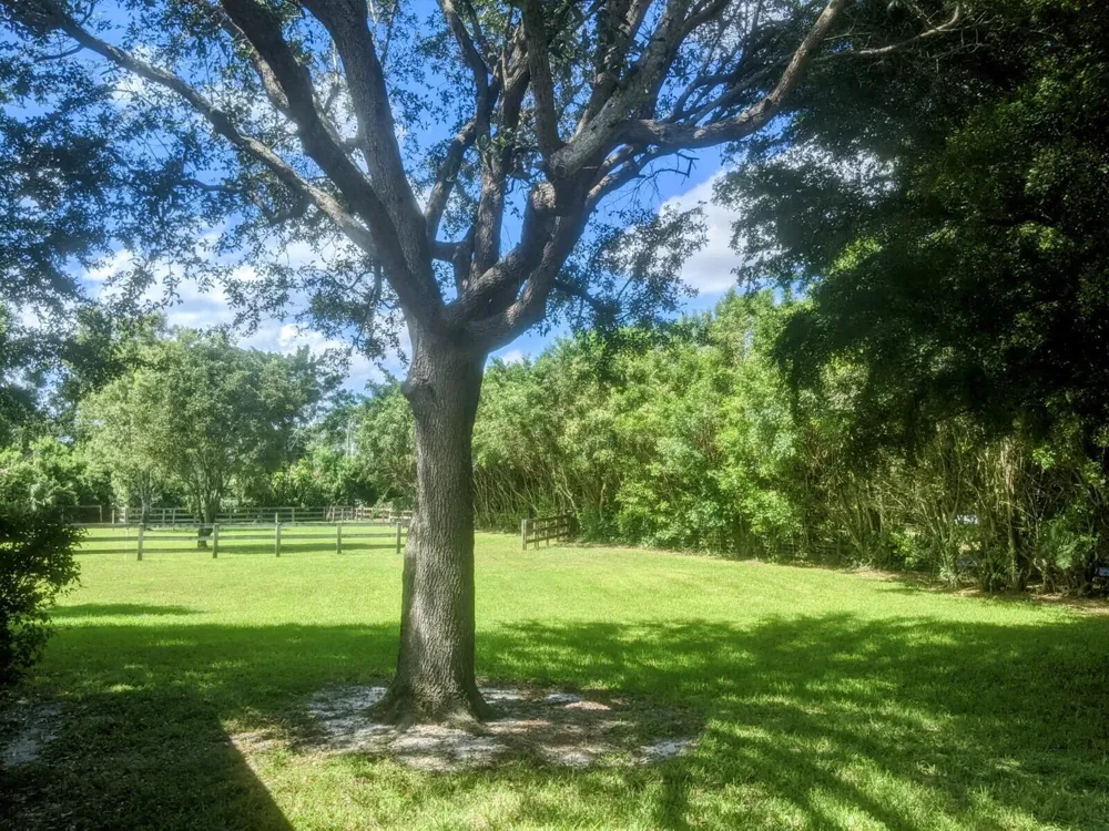 819 Cindy Circle Lane #~ Barn & Guest House Wellington, FL 33414