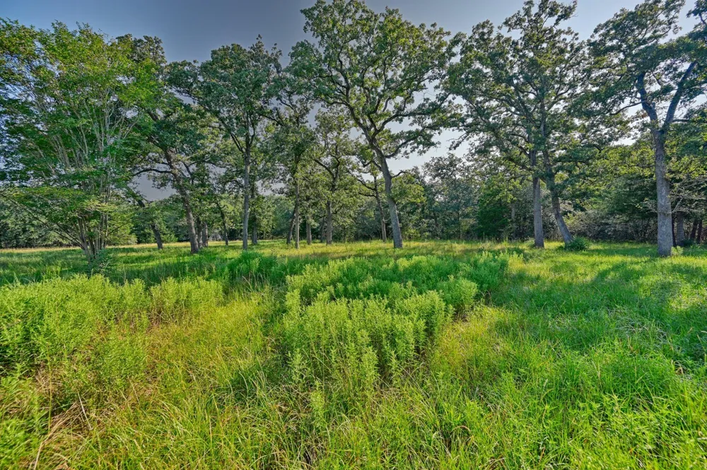 609 Piney Creek Road Bellville, TX 77418