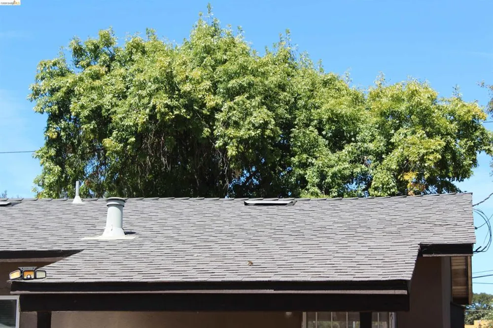 2268 E Marsh St Stockton, CA 95205