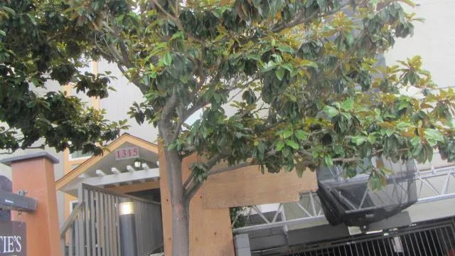 1315 A STREET #203 Hayward, CA 94541