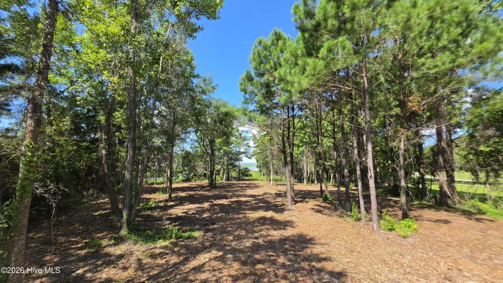 851 Highway 101 Beaufort, NC 28516