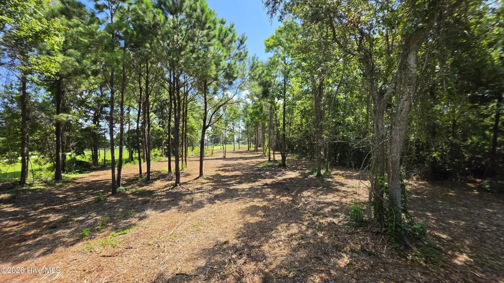 851 Highway 101 Beaufort, NC 28516