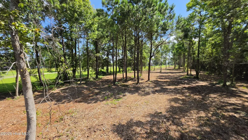 851 Highway 101 Beaufort, NC 28516