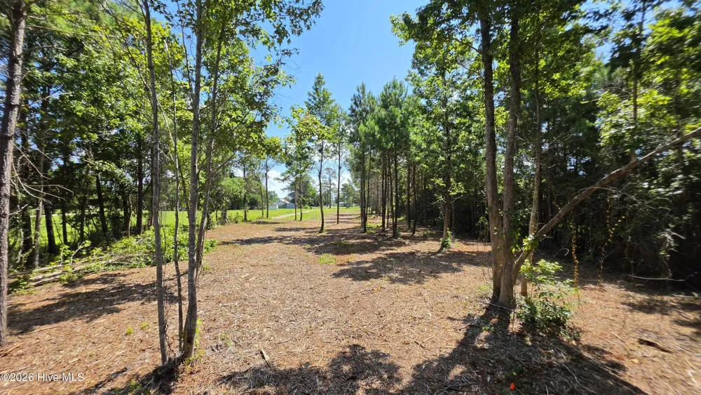 851 Highway 101 Beaufort, NC 28516