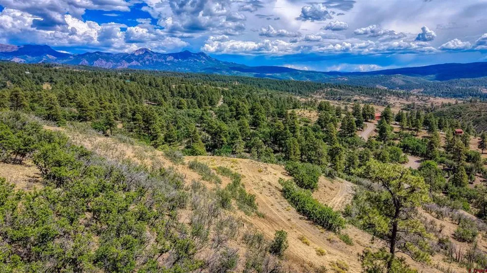 2816 Running Horse Place Pagosa Springs, CO 81128