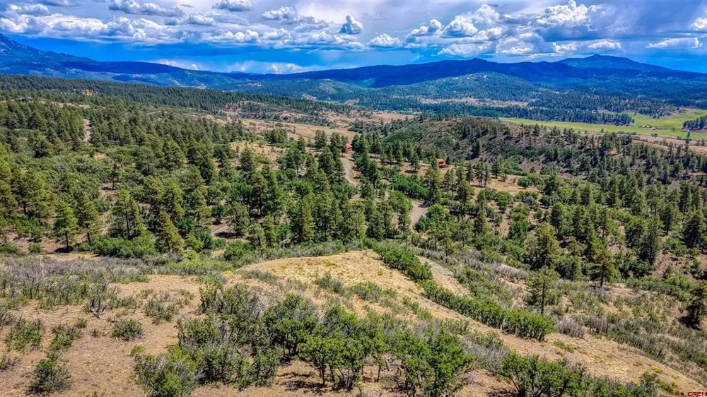 2816 Running Horse Place Pagosa Springs, CO 81128