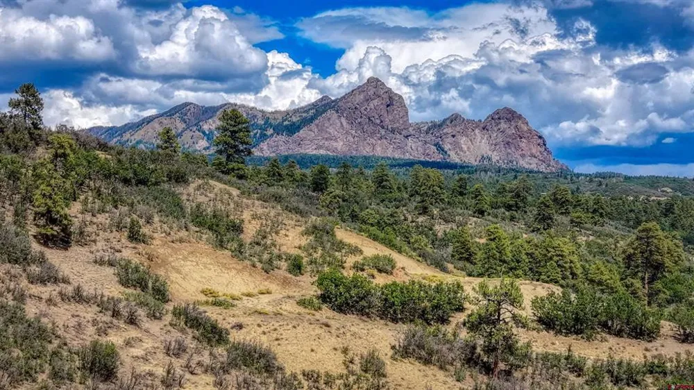 2816 Running Horse Place Pagosa Springs, CO 81128