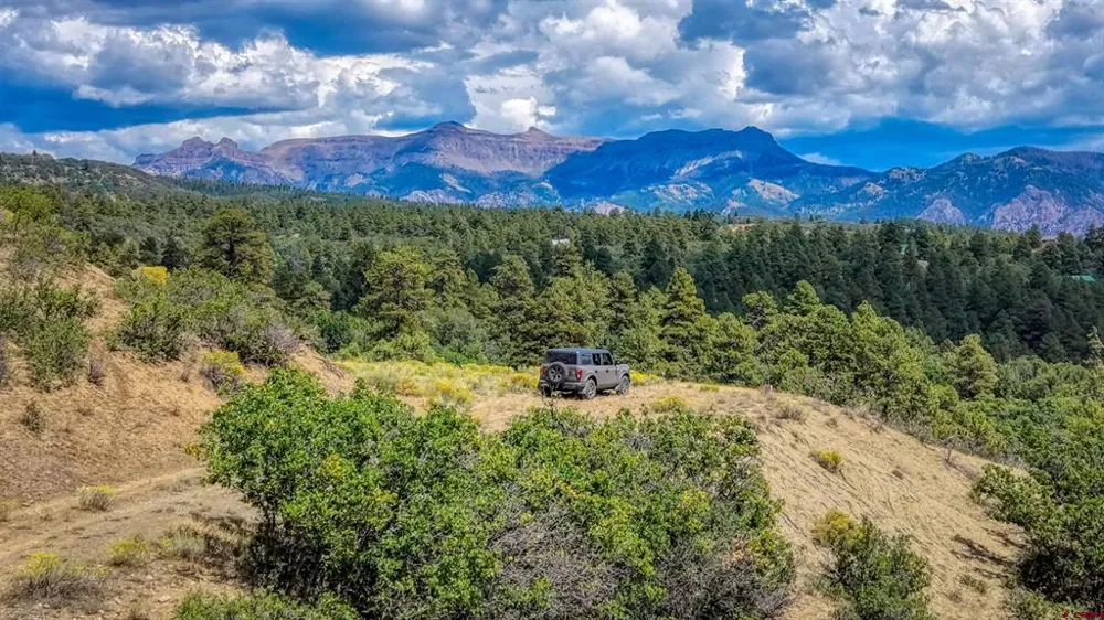 2816 Running Horse Place Pagosa Springs, CO 81128
