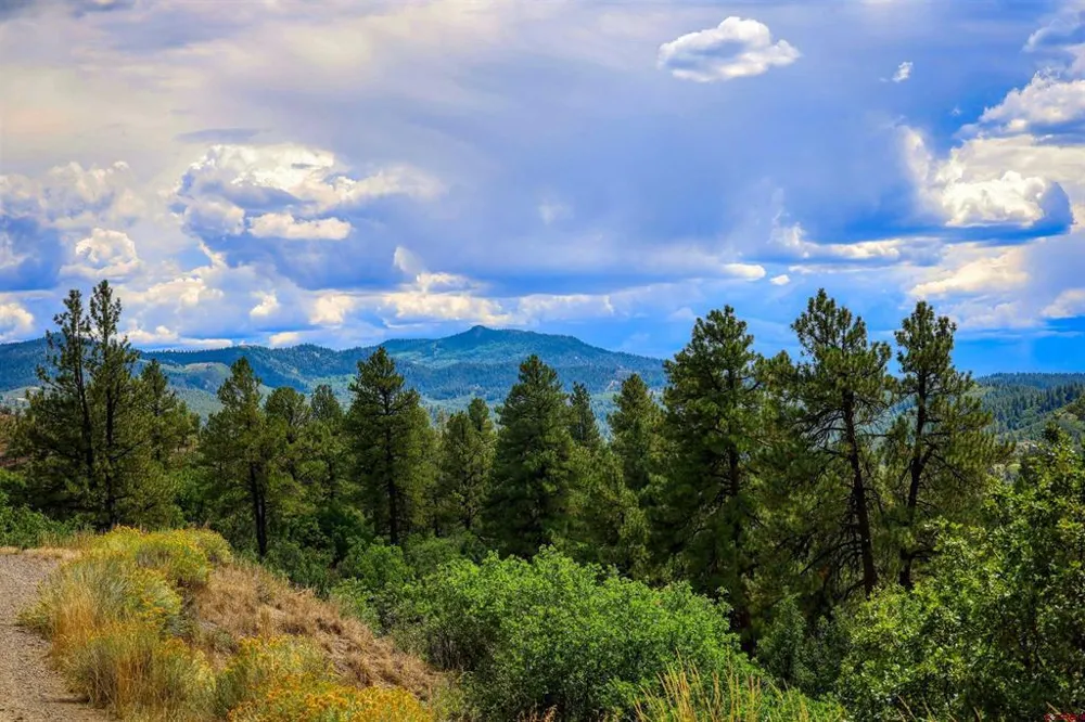 2816 Running Horse Place Pagosa Springs, CO 81128