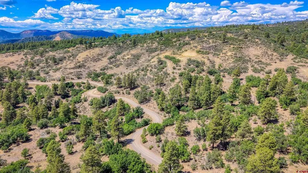 2816 Running Horse Place Pagosa Springs, CO 81128