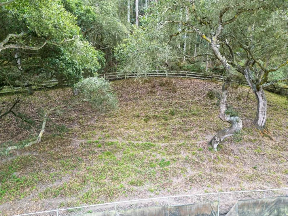 800 Lewis Road Royal Oaks, CA 95076