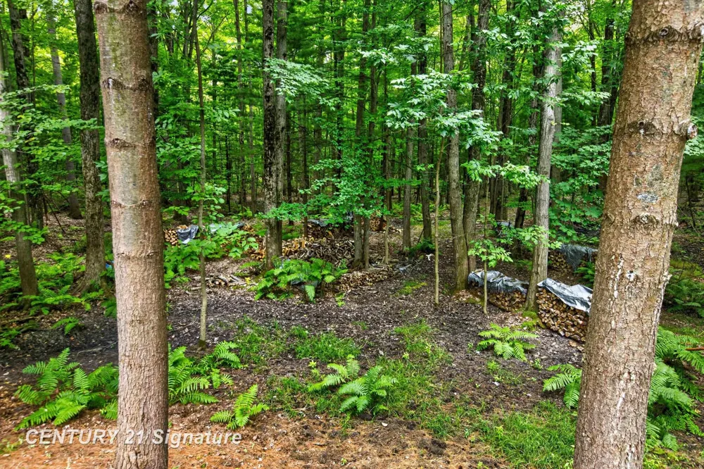 3846 E Monroe Road Larkin Charter Township, MI 48642