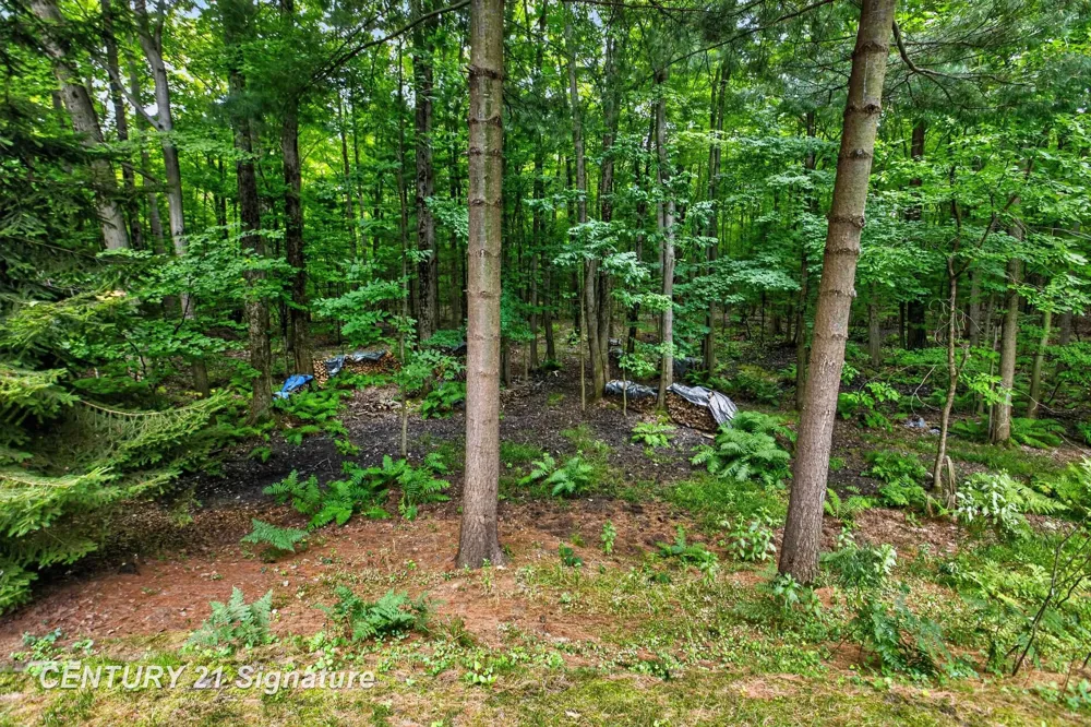 3846 E Monroe Road Larkin Charter Township, MI 48642
