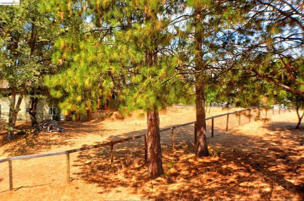 13323 Mule CT Groveland, CA 95321