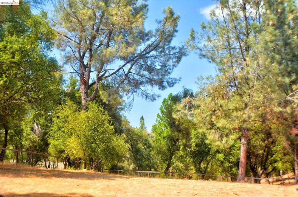13323 Mule CT Groveland, CA 95321