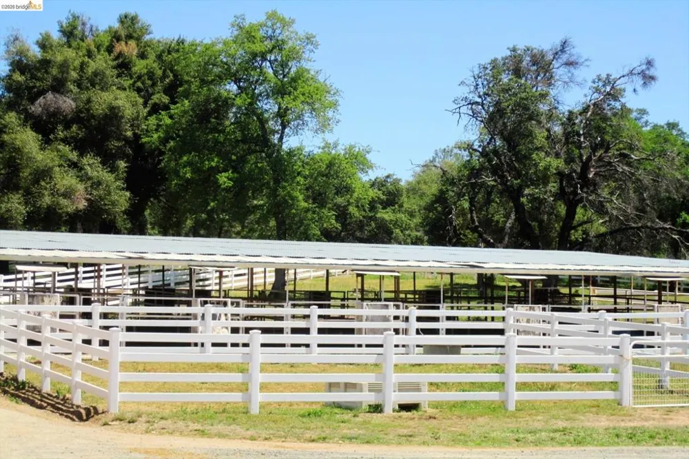 13323 Mule CT Groveland, CA 95321
