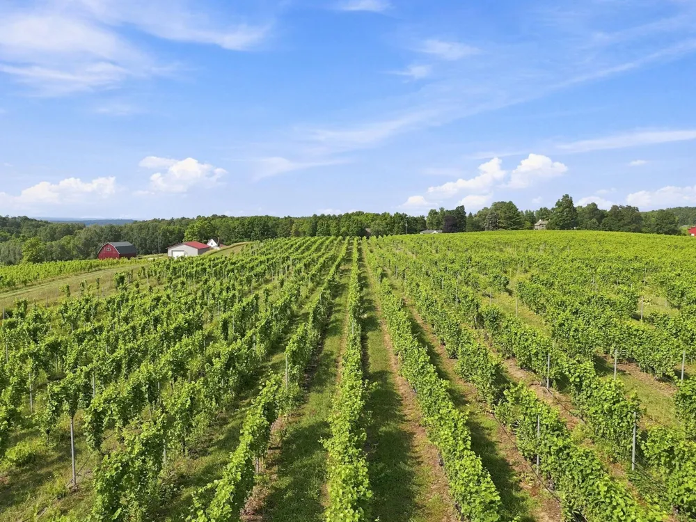 Nelson Road Peninsula Township, MI 49686