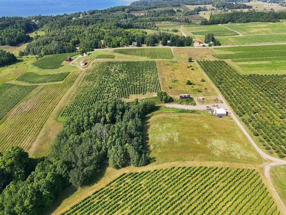 Nelson Road Peninsula Township, MI 49686